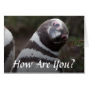 Suche nach magellan postkarten Pinguin