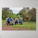 Suche nach galapagos schildkröte poster Riesenschildkröte