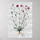 Suche nach nelken poster Blume