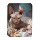 Suche nach pelz magnete Für alle