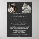 Suche nach grey wolf poster Cherokee wisdom