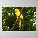 Suche nach vogelhaus poster Jede person