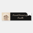 Suche nach poodle autoaufkleber Für alle
