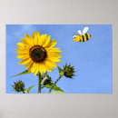 Suche nach glückliche biene poster Bienen