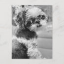 Suche nach tau postkarten Für sie