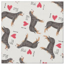 Suche nach schweizer gebirgshund Swissy