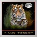 Suche nach love animals poster Cats