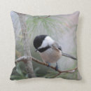 Suche nach kappe kissen Chickadee