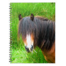 Suche nach ponys kleine notizbücher Jede person