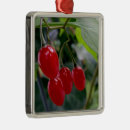 Suche nach im herbst ornamente Blatt