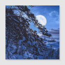 Suche nach tannenbäume karten Winter