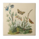 Suche nach raupen fliesen Blumen