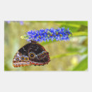 Suche nach morpho aufkleber Tier