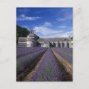Suche nach vaucluse postkarten Europe