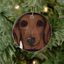 Suche nach dachshund ornamente Wiener hunde