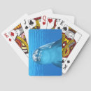 Suche nach delphin spielkarten Jede person