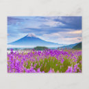 Suche nach japan andere Fuji