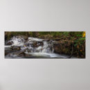 Suche nach runen poster Natur