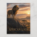 Suche nach afrikanische löwen postkarten Afrikanischer löwe