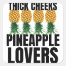 Suche nach swinger aufkleber Ananas