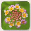 Suche nach indonesien untersetzer Blume