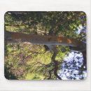 Suche nach spuk bäume mousepads Baum