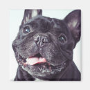 Suche nach franziskaner magnete Niedliche tiere