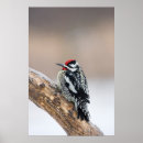 Suche nach männchen poster Höhle