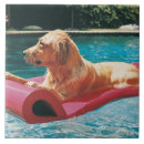 Suche nach hinterhof fliesen In voller länge