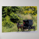 Suche nach amish poster Buggy