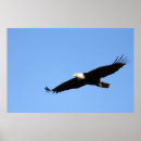 Suche nach steigen poster Natur