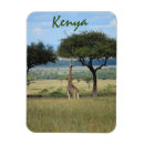 Suche nach kenia magnete Giraffe