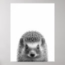 Suche nach igel poster baby kinder Waldland