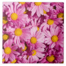 Suche nach gänseblümchen fliesen Rosa