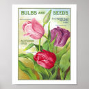Suche nach zwiebeln poster Botanisch