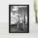 Suche nach sonoran karten Wüste