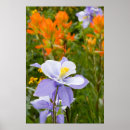 Suche nach columbine poster Kolorado