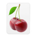 Suche nach kirschen magnete Früchte