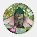 Suche nach feenhaftes magnete Katze