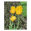 Suche nach gelbs poster Baum