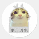 Suche nach katzen humor aufkleber Meme