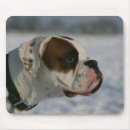 Suche nach profil mousepads Foto