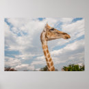 Suche nach nähen und nähen poster Fotografie