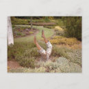 Suche nach auf einem bein postkarten Für ihn