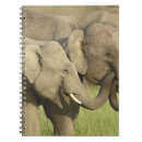 Suche nach indischer elefant kleine notizbücher Indien
