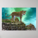 Suche nach wildkatzen poster Leopard