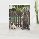 Suche nach gewartet karten Hund