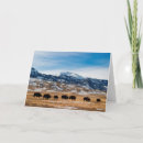 Suche nach bison karten Nordamerika