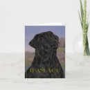 Suche nach die jagdhunde postkarten Labrador retriever