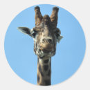 Suche nach lustige giraffe aufkleber Jede person